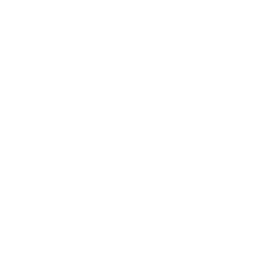 icon-fingerprint-scanner-with-password-on-mobile-phone