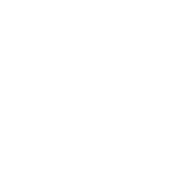 icon-pentagonal-chart